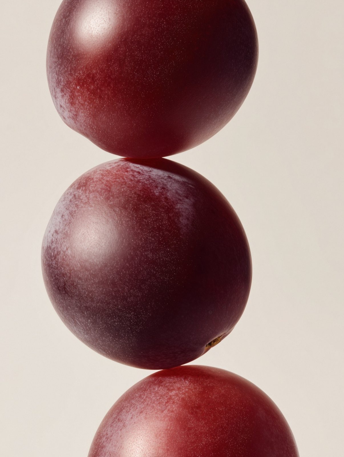 Still life, beeld 1